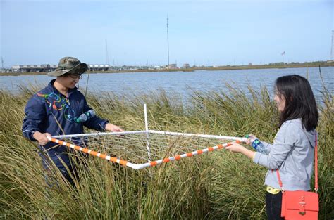 Image result for Vegetations Field Study Examples