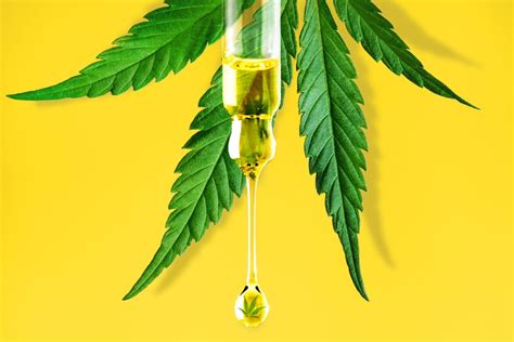 The Ultimate Guide to CBD | Types, Benefits, Recipes, Buying Guide ...