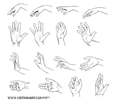 Image result for Cartoon Hand Drawing