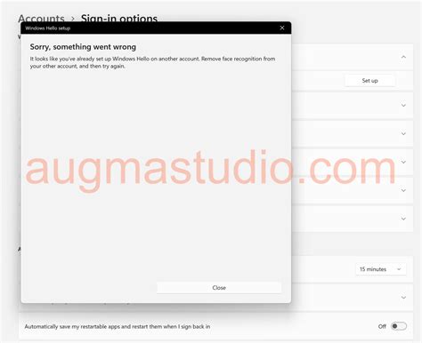 Windows Hello Face Error 的图像结果