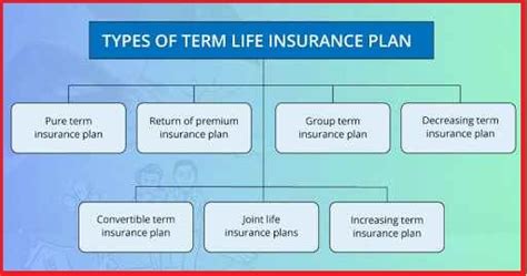 Life Insurance Explained 的图像结果