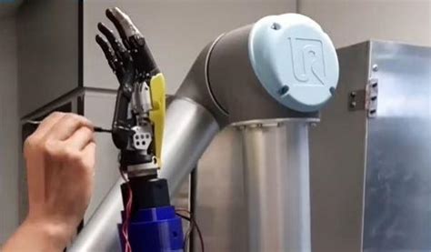 New 'brainless' robot uses physical intelligence to navigate complex ...