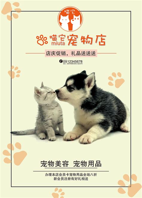 15款宠物简约时尚海报banner素材PSD源文件打包下载 - 平面素材下载