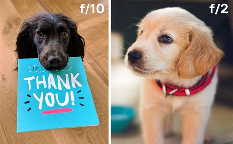 Image result for How to Setting Camera