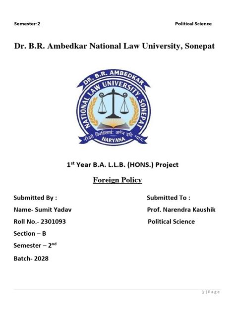 Image result for Political Science Project File