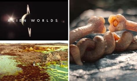 Image result for Alien Worlds Netflix