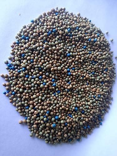 S.N.F.E Osmocote 200gm Outdoor and Indoor Smart-Release Plant Food ...