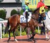 The Hong Kong Jockey Club