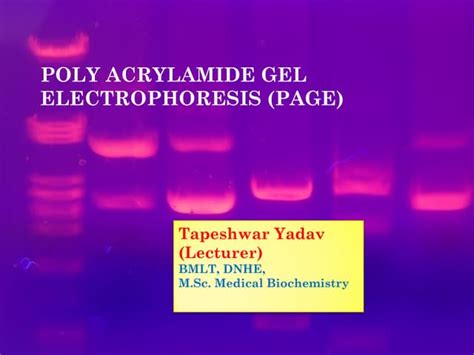 Image result for Class 8 Computer Science Notes