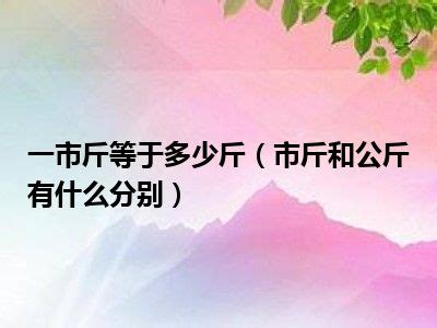 一市斤等于多少斤（市斤和公斤有什么分别）_一天资讯网