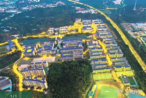 东莞城市学院2023年专升本招生简章 —中国教育在线