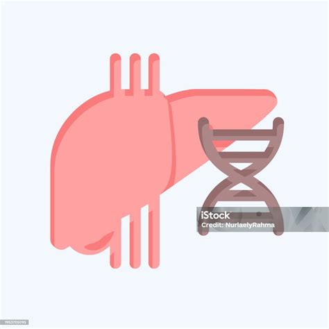 Icon Liver Cysts Related To Hepatologist Symbol Flat Style Simple Design Editable Simple ...