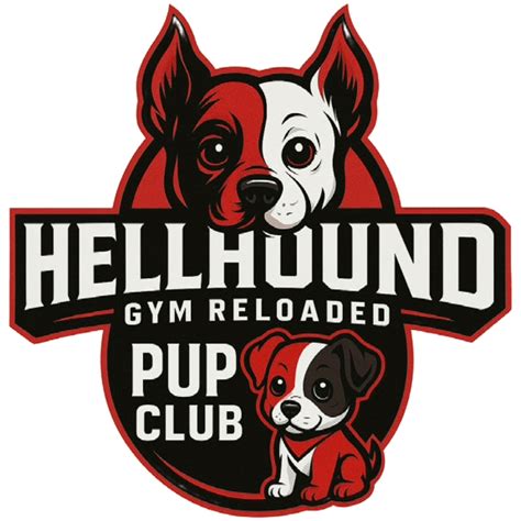 Best Gym in Humble | 24 by 7 Fitness Training Programs