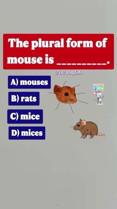 Mouse, Rats, Mice Or..? | Learn Plural Form Of Mouse - YouTube