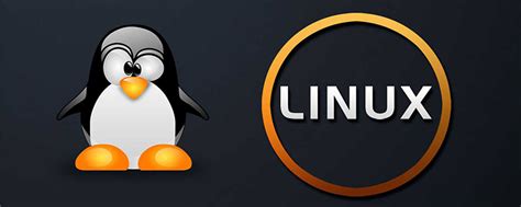 linux查看系统有哪些用户-linux运维-PHP中文网