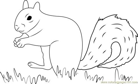 Image result for Squirrel Flight Sim Tutorials No. 9