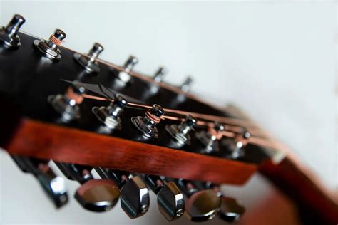 Image result for Twelve-string guitar Tuning