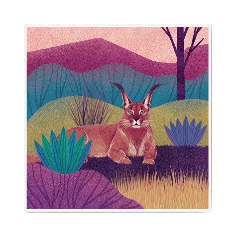 Caracal - Kulture Shop