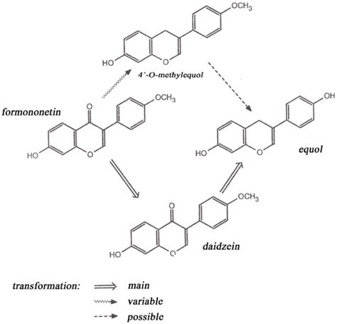 Determination of Phytoestrogen Content in Fresh-Cut Legume Forage