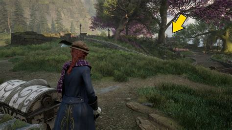 Hogwarts Legacy - All Hogsmeade Eye Chests Guide - GameSpot