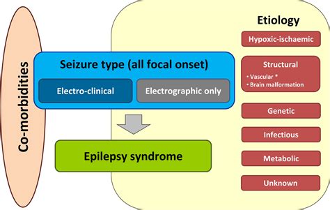 Seizure Classification Chart