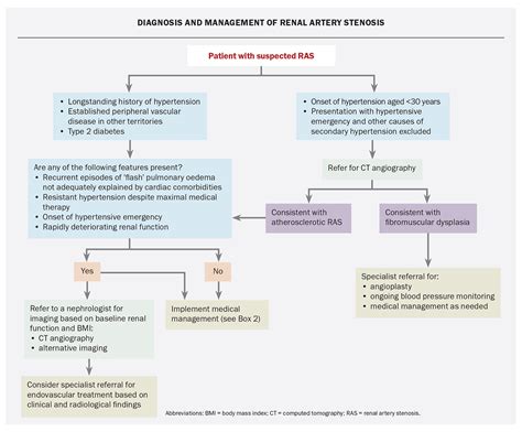 Renal artery stenosis and hypertension: when to screen and how to treat | Medicine Today