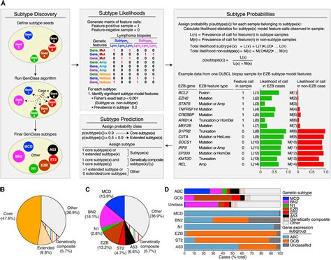 Image result for Lymphgen Algorithm