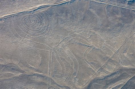 An AI tool has discovered hundreds of geoglyphs in Nazca, Peru