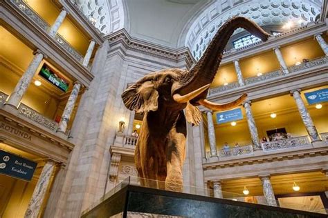 10 Museums In Washington DC: A Guide For History Lovers