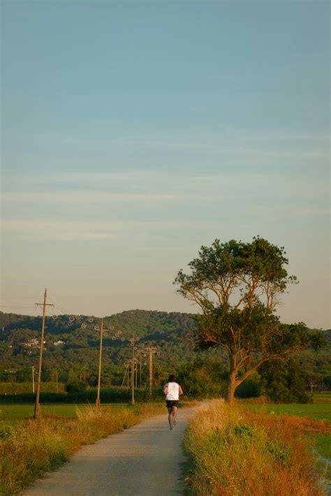 Trail Running 的图像结果