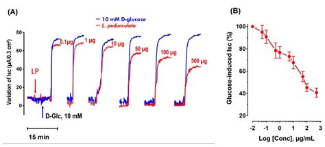 Antihyperglycemic Effect of Lavandula pedunculata: In Vivo, In Vitro ...