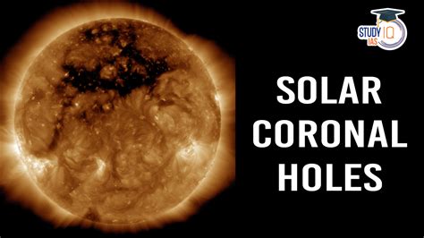 Thermal Structure of Solar Coronal Holes and their Magnetic Fields Unveiled