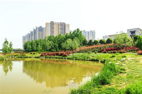 重庆大学城将开建一个湿地公园，占地20万平方米，2022年底建成_大成