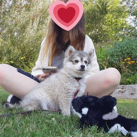 poal.me - https://tarahisjustperfect.tumblr.com https://files.catbox ...