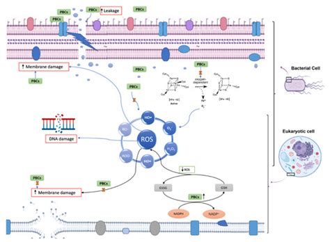 Antibacterial, Antibiofilm, and Antioxidant Activity of 15 Different ...