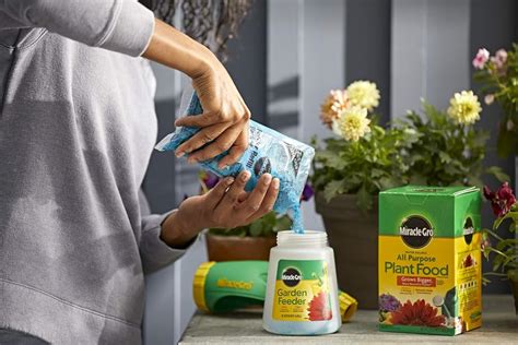 Miracle-Gro All Purpose Plant Food Plant Fertilizer India | Ubuy