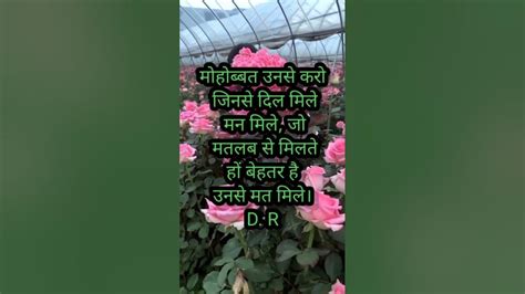 Image result for Hum Humjdjd