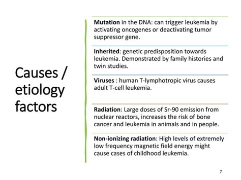 Image result for Lymphocyte Lineage