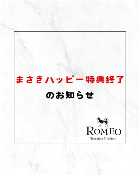 ROMEO【名古屋市】【港区】 | こんにちはROMEOです💛👹 今日のわんちゃんは…… トイプードルのクウちゃん︎💕︎︎ シャンプーカットコースでご来店𓂃🫧‪ 全身ハサミでカットしているので ...