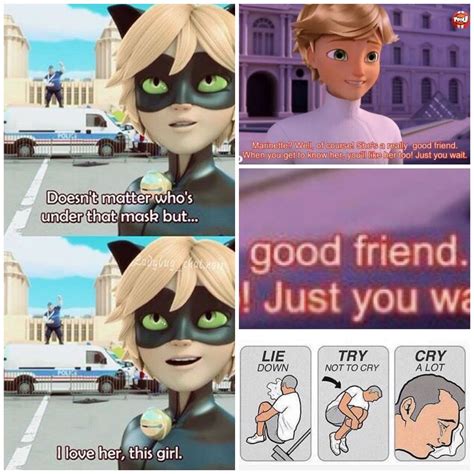 Miraculous Ladybug Memes English - Funny Memes