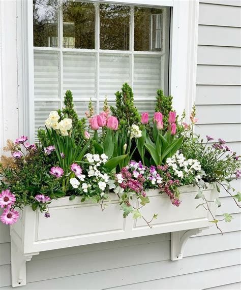 Window box flowers, Flower garden, Container gardening