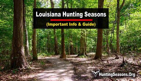 Louisiana Hunting Seasons 2025-2026: New Regulations & Schedule Changes!