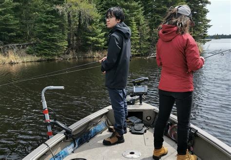 Image result for Using Active Target for Fishing