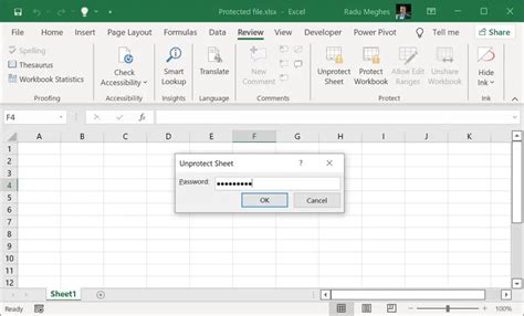 Image result for How to Remove Excel Password Protection