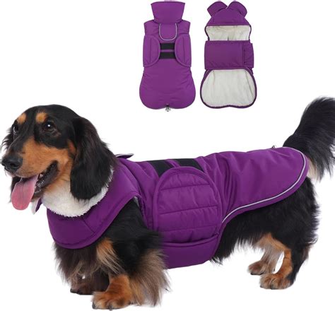 Amazon.com : Lelepet Dachshund Coat,Warm Dog Winter Coat Small Dog Coat ...