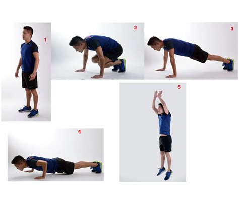 Image result for Burpee Example