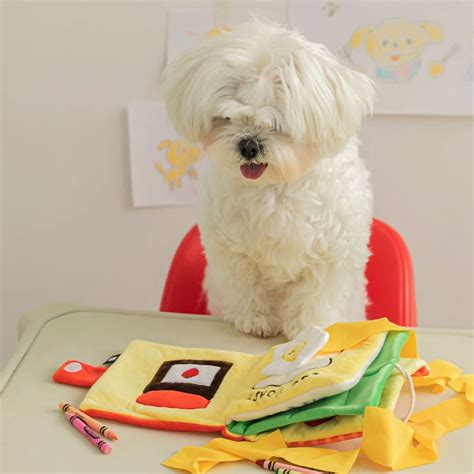 MY LUNCHBOX BOOK TOY!