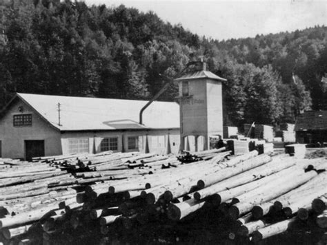 About the family business mafi