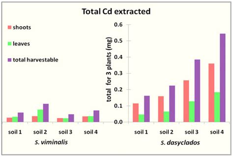 RETRACTED: Phytoremediation of Heavy-Metals-Contaminated Soils: A Short ...