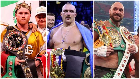 Boxer Player 的图像结果